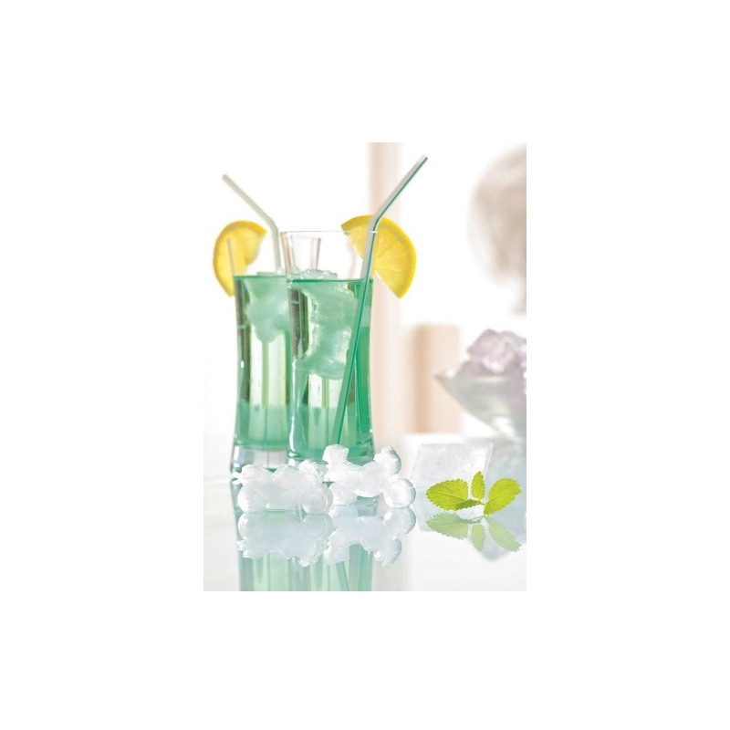 Form für Eis und Schokolade